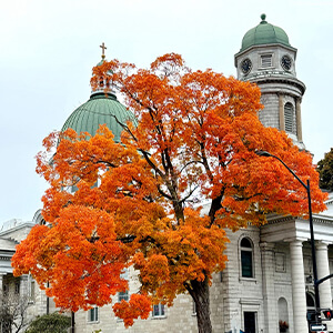 St. George's Cathedral