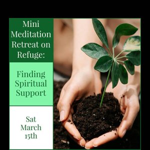 Meditation in Kingston